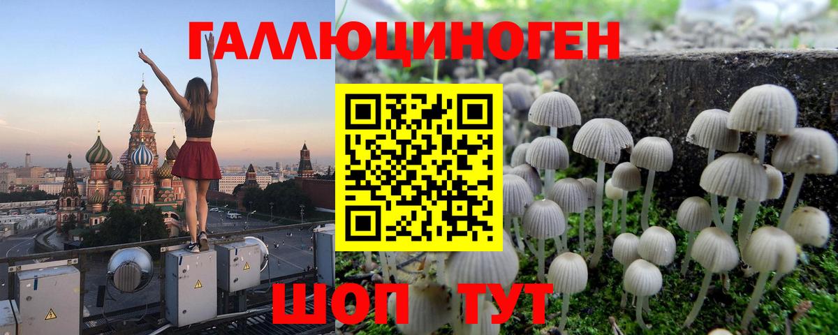 Псилоцибиновые грибы прущие грибы Киселёвск