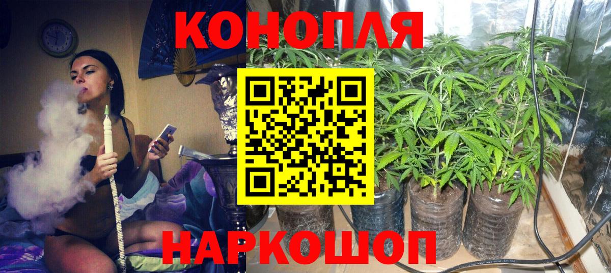 Наркошоп  МЕТАДОН  Киселёвск  МЕТАМФЕТАМИН  Вход с VPN  ГАШ  Меф МЯУ МЯУ   LSD-25  Кокаин  АМФ   Альфа ПВП СК  